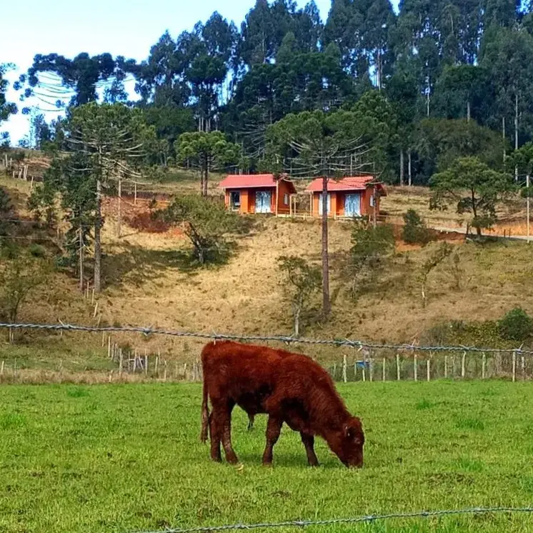 Cabanas Observatório
