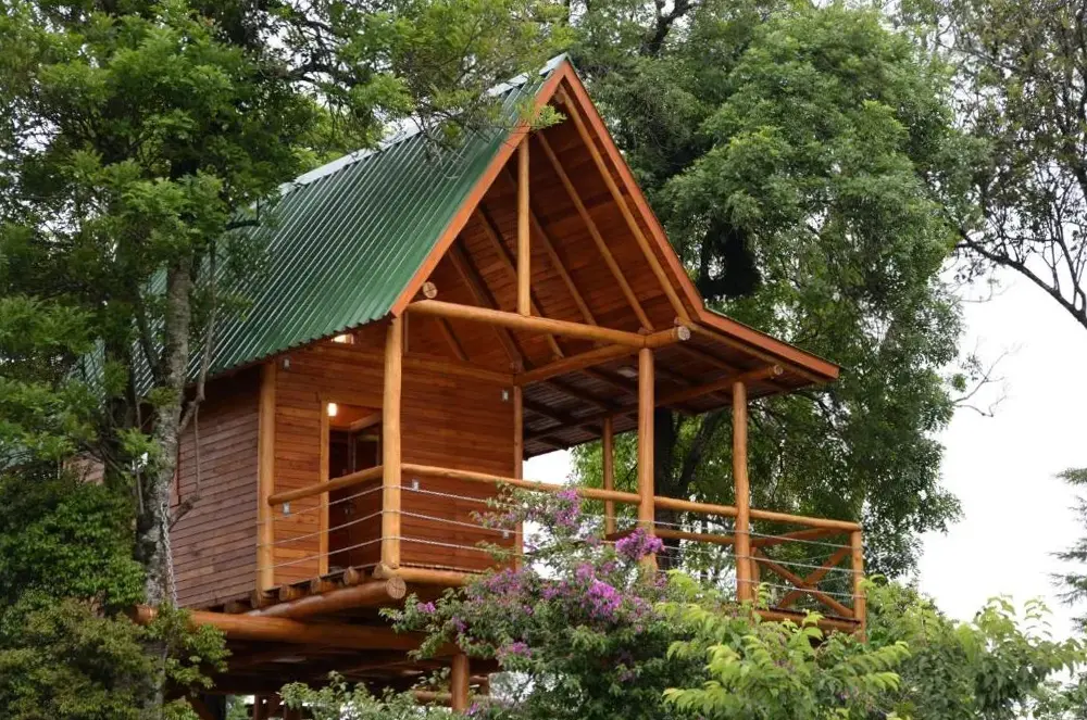 Casa Na Árvore