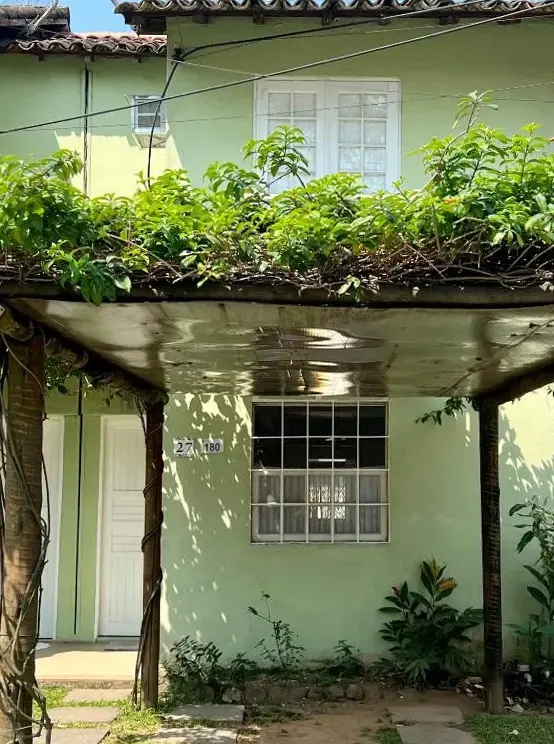 Casa Verde No Centro De Paraty