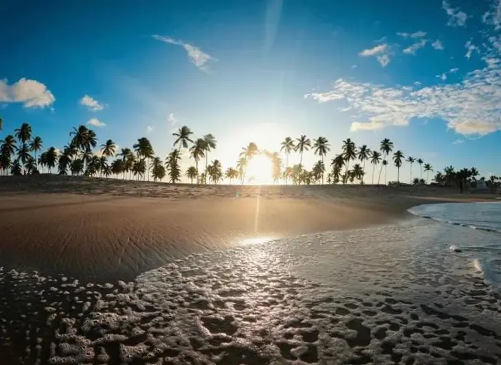 Praia De Maracaípe - Porto De Galinhas - Flat 309
