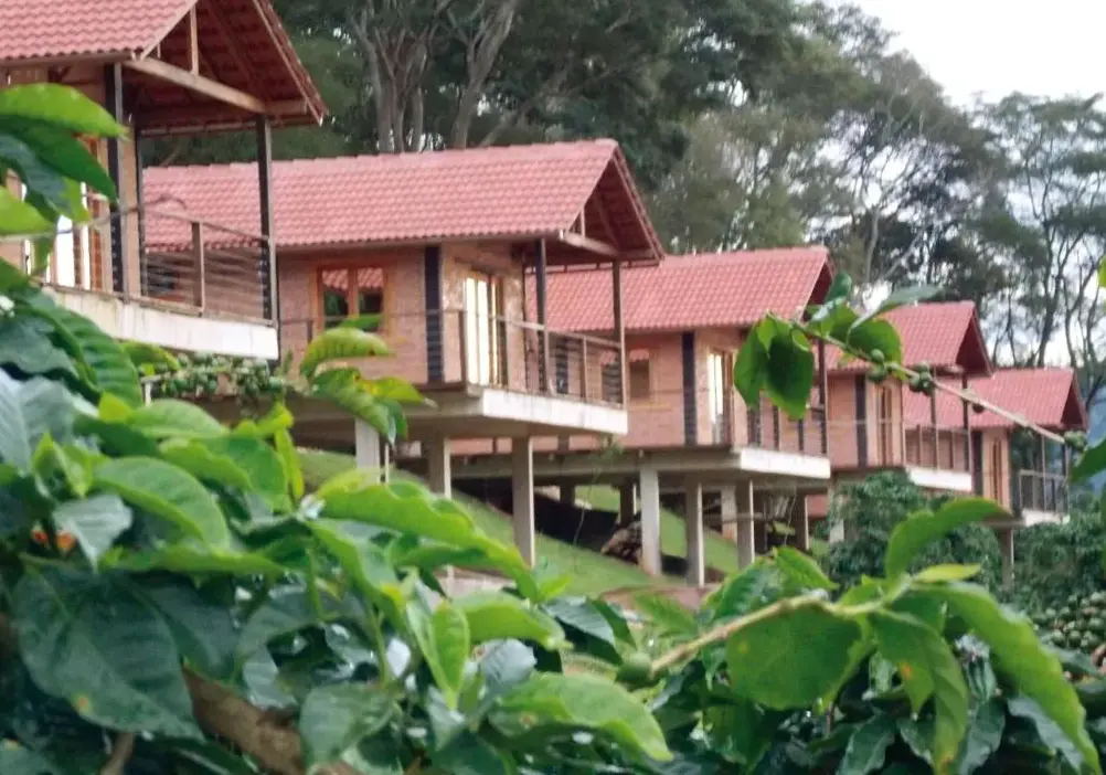 Pousada Café Da Mata