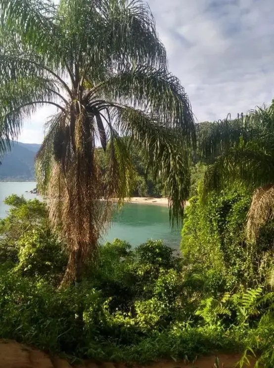 Ubatuba Surf Hostel, Apenas A 60 Metros Da Praia Da Lagoinha!