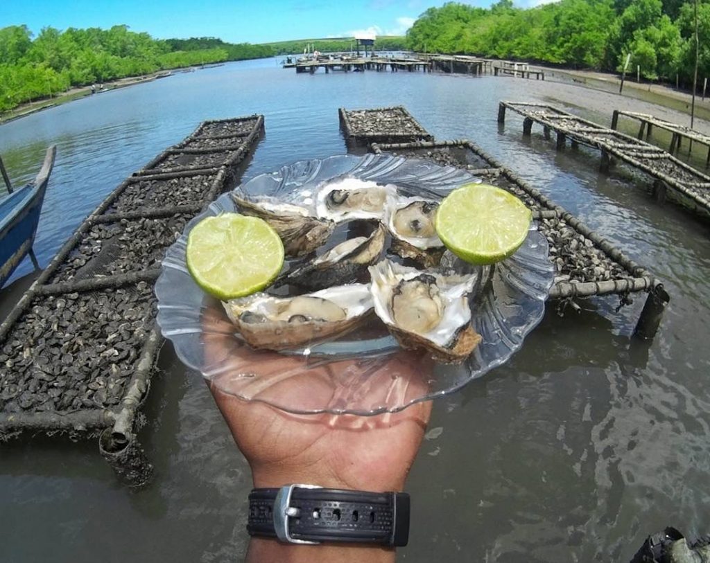 Passeio na Palatéia e ostras, Maceió