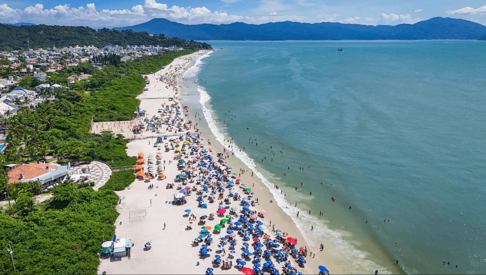 Vista aérea da Praia de Jurerê em Florianópolis. Guarda -Sóis espalhados pela praia.