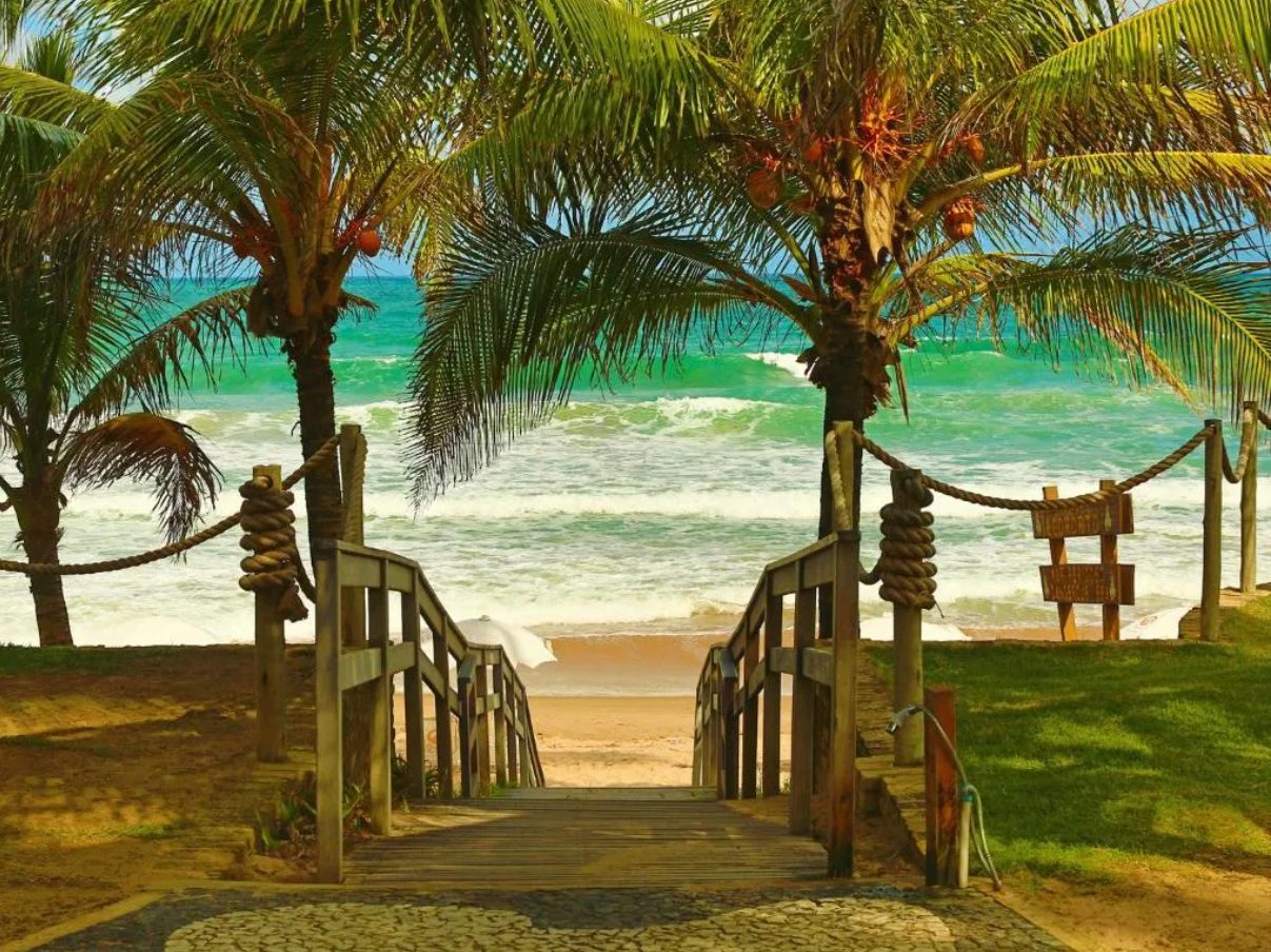 Mar, ondas, coqueiros, acesso à praia Porto de Galinhas 