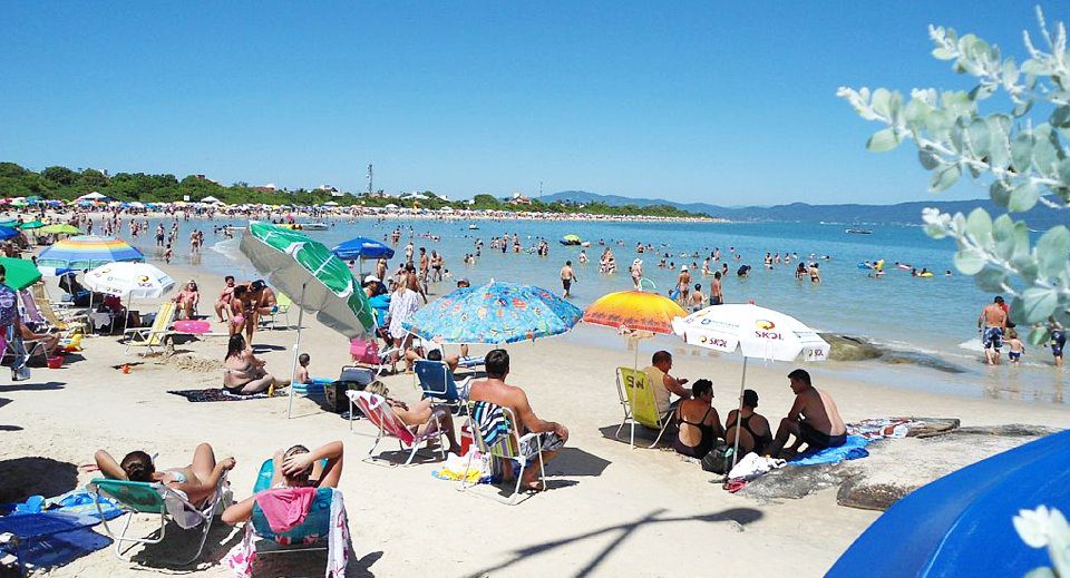Areia da Praia da Daniela em Florianópolis