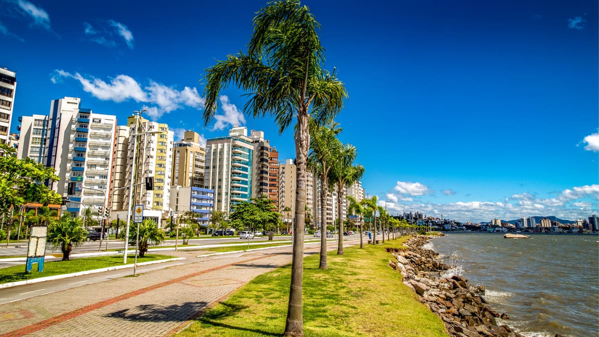 Imagem da Orla de Florianópolis Capital Catarinense - Coqueiros na beira da orla e prédios atrás.