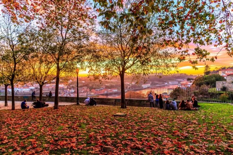 Jardim das Virtudes - Porto - pôr do sol no outono
