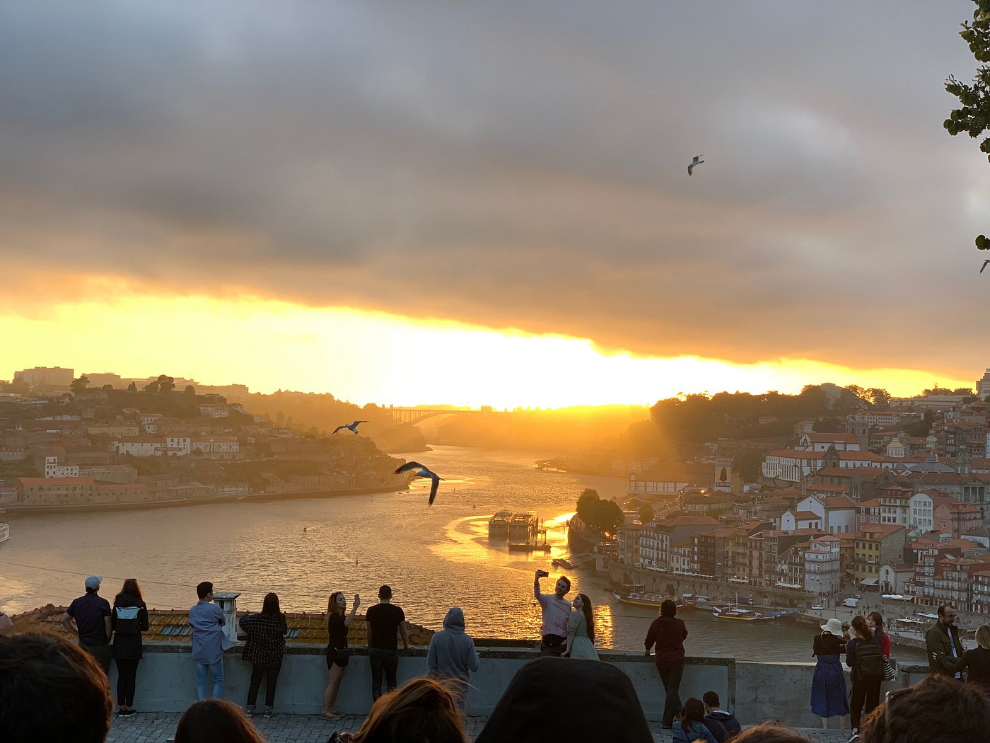pôr do sol no Jardim do Morro - Porto