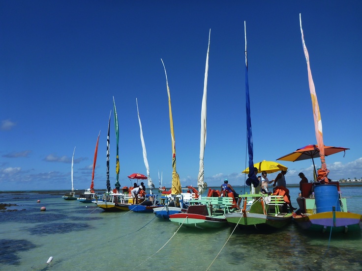 Jangadas nas Piscinas Naturais da Pajuçara - Maceió