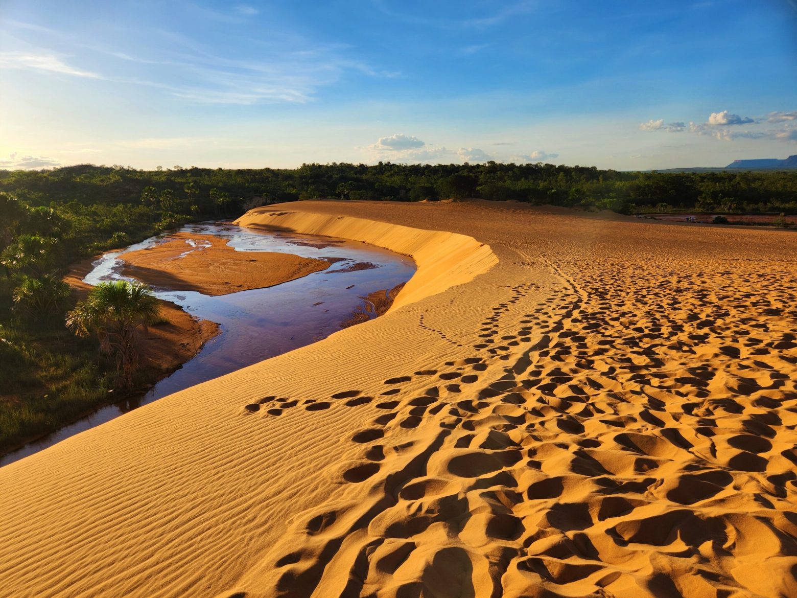 Dunas douradas no pôr do sol do Jalapão