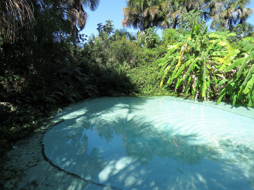 Fervedouro do Jalapão com água azul cristalina rodeado de vegetação verde