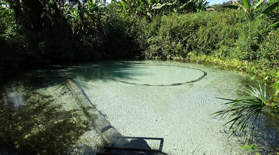 Fervedouro do Alecrim com água límpida, transparente e vegetação exuberante