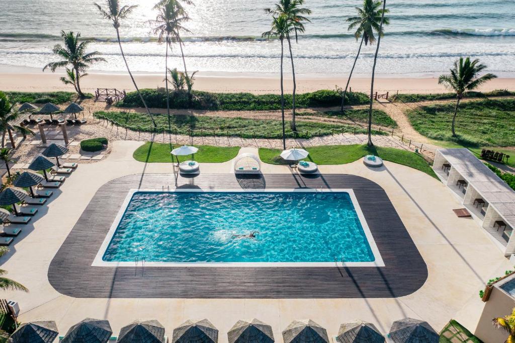 Piscina na praia, coqueiros, espreguiçadeiras