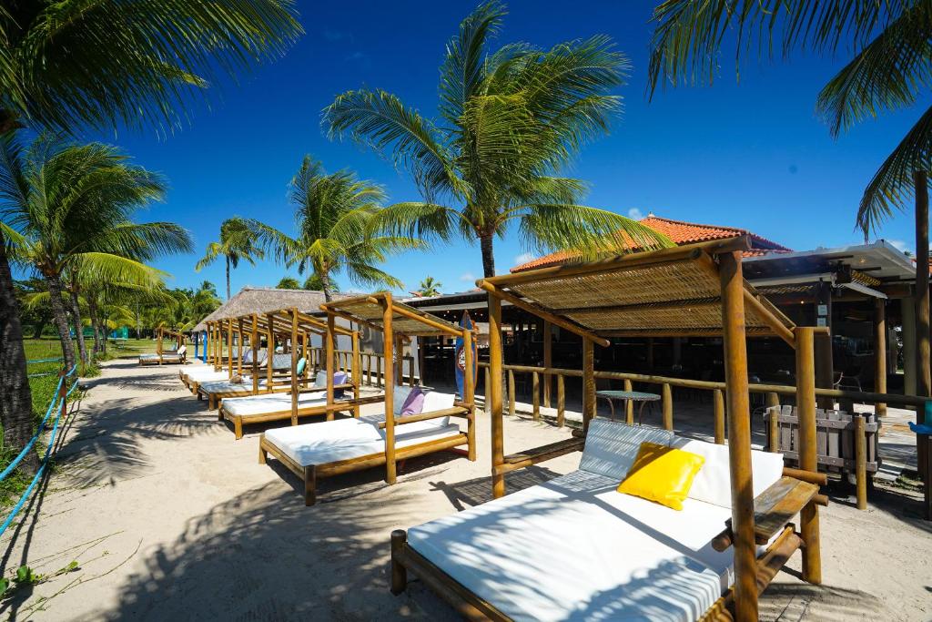 Espreguiçadeiras na praia, coqueiros